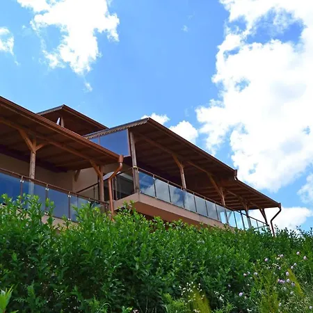 Guest house Vip Complex