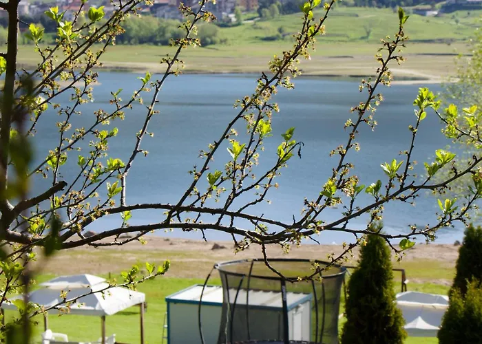 Vip Complex 4* Sarnitsa